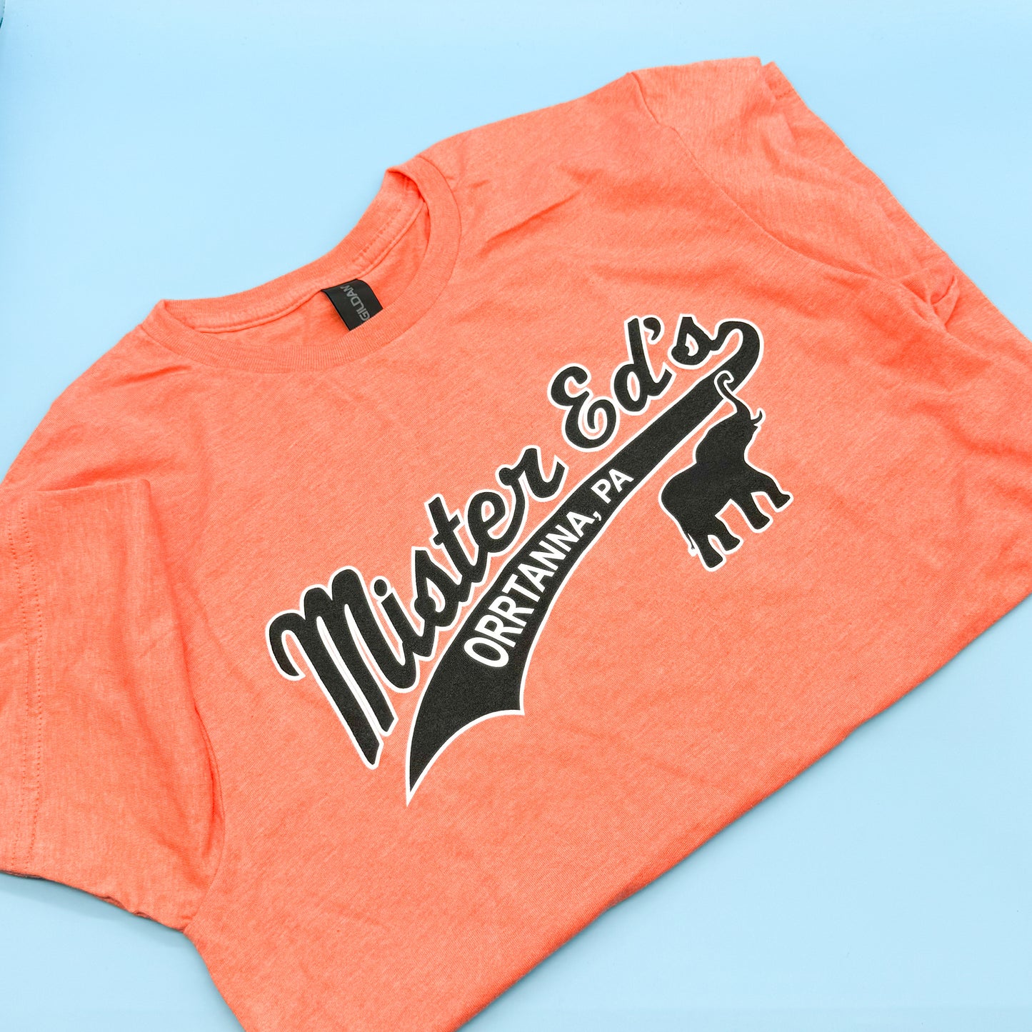 Mister Ed Swoosh - Orange