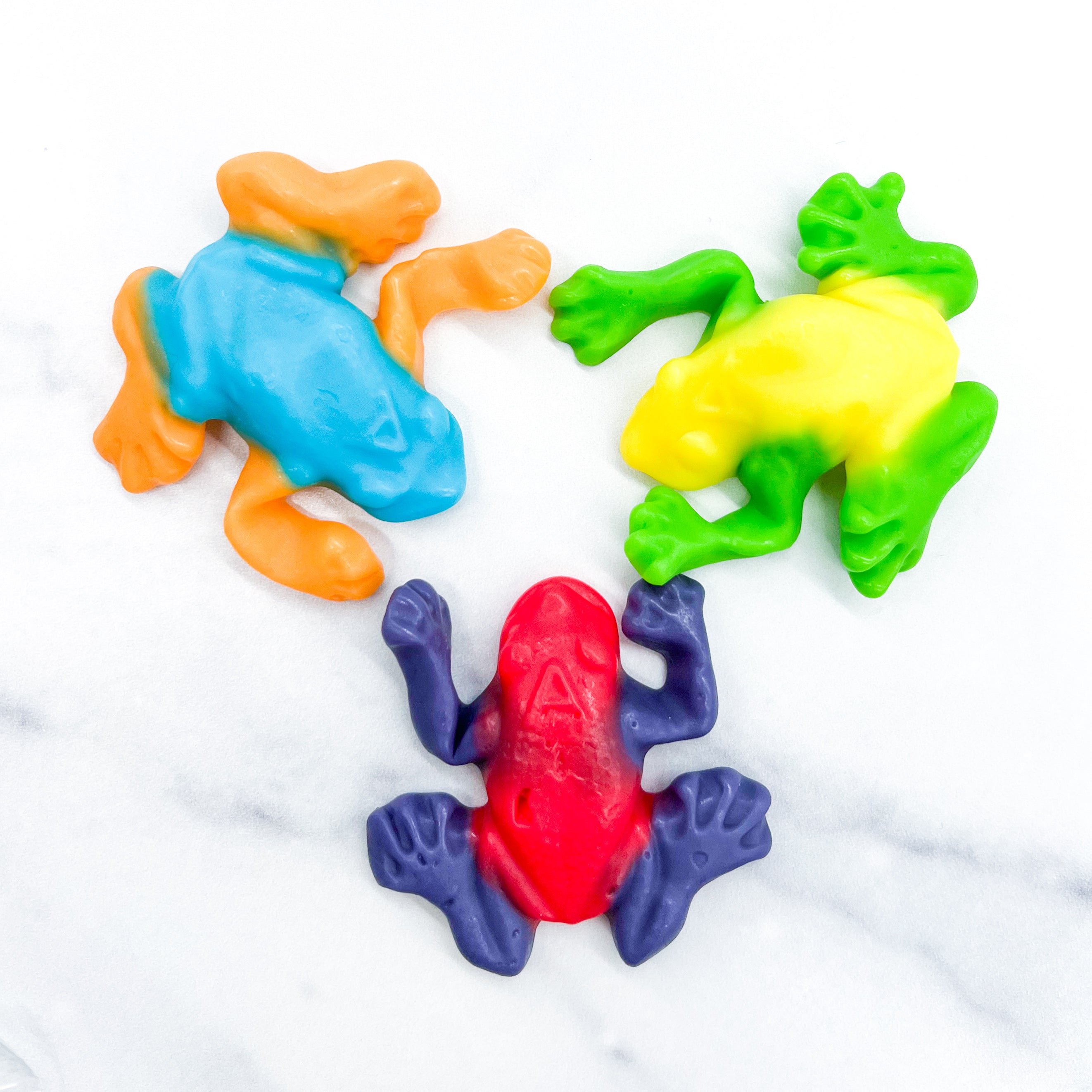 Gummi Rainforest Frogs – Mister Ed's Elephant Museum & Candy Emporium