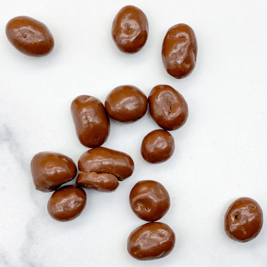 Chocolate Covered Raisins